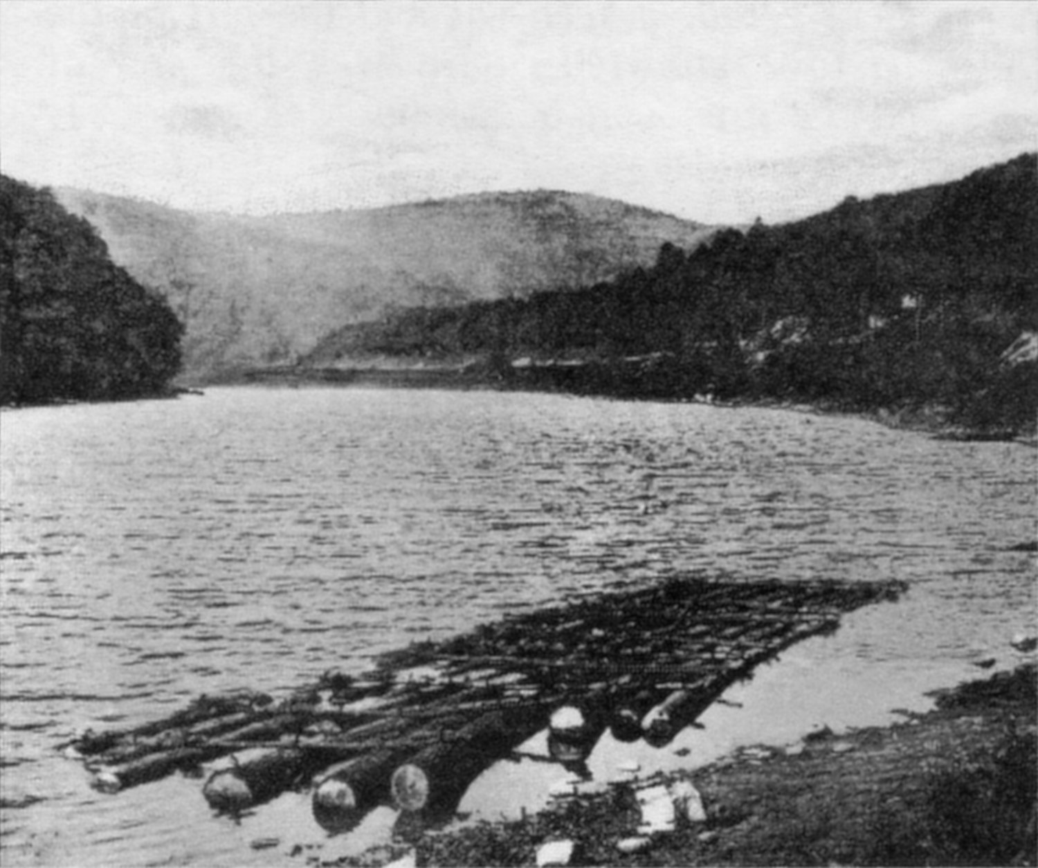 The last log raft pushes off from Long Eddy, early in the 20th century.